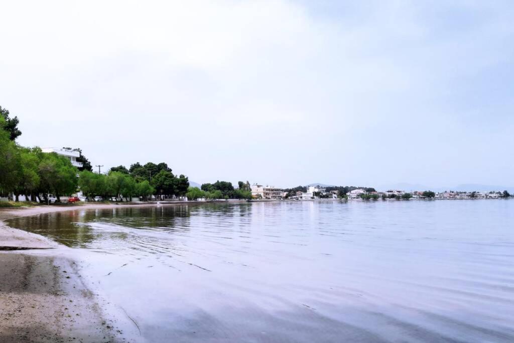 Πολυτελές Διαμέρισμα 2 Χαλκίδα-Παραλία Αυλίδος Paralia Avlidhos Zewnętrze zdjęcie