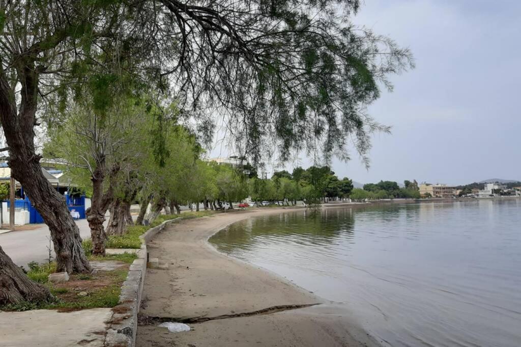 Πολυτελές Διαμέρισμα 2 Χαλκίδα-Παραλία Αυλίδος Paralia Avlidhos Zewnętrze zdjęcie